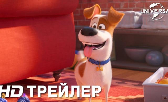 ТАЙНАЯ ЖИЗНЬ ДОМАШНИХ ЖИВОТНЫХ 2 | ТРЕЙЛЕР 1 | в кино с 30 мая