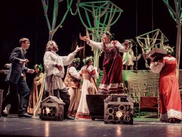 Железная воля