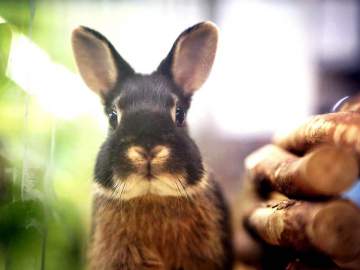 Контактная выставка