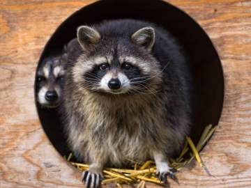 Контактная выставка