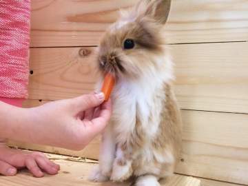 Контактная выставка