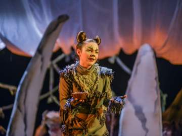 Та, которая гуляла сама по себе