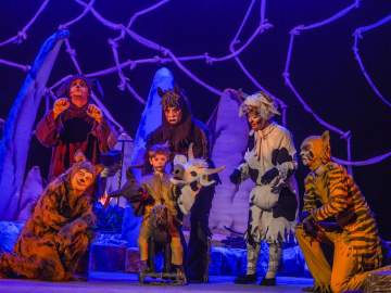 Та, которая гуляла сама по себе