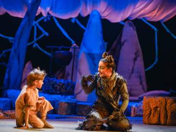 Та, которая гуляла сама по себе