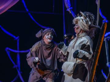 Та, которая гуляла сама по себе