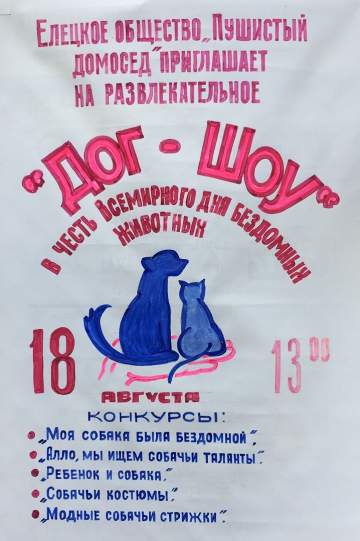 Дог-Шоу