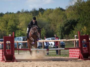 Соревнования по конному спорту