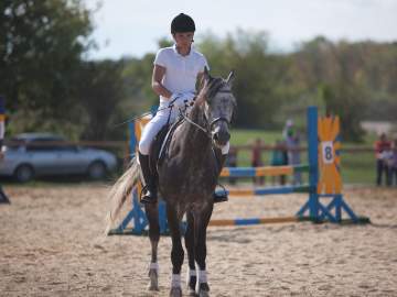 Соревнования по конному спорту