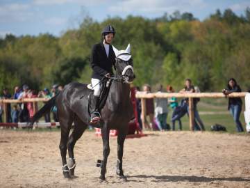 Соревнования по конному спорту