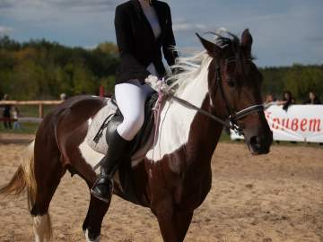 Соревнования по конному спорту
