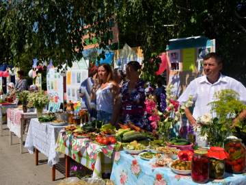 Фестиваль «Черкасский огурец»