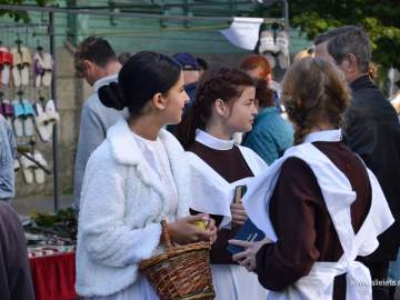 Фестиваль «Антоновские яблоки»