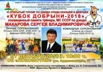 Турнир по дзюдо «Кубок Добрыни»