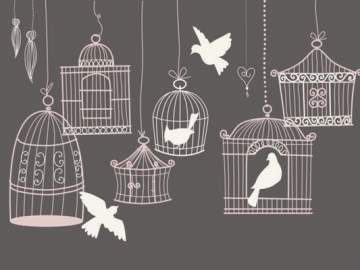 Драма на охоте