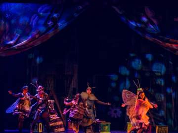 Муха-цокотуха