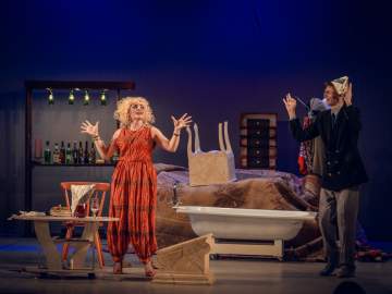 Франсис Вебер. «Ужин с дураком»