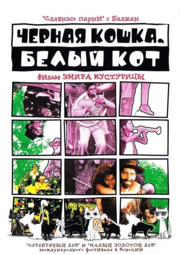 Чёрная кошка, белый кот