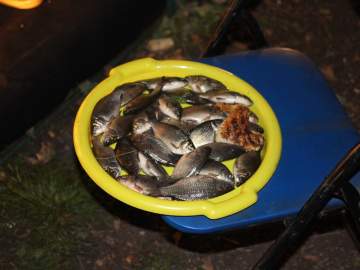 Моторыбалка